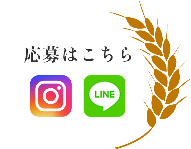 応募はこちら